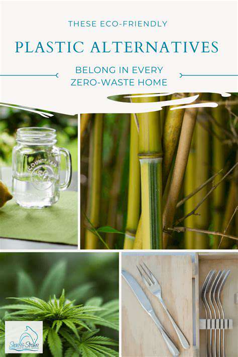 ExploringSustainableandNon-ToxicAlternatives