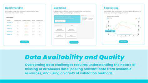 NavigatingtheChallengesofDataAvailabilityandQuality
