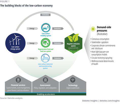 TransitionRisks:AdaptingtoaLow-CarbonFuture