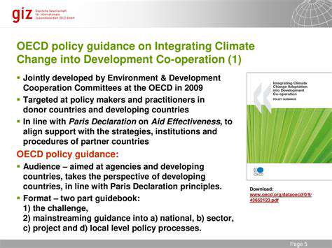 Climate Risk Analysis for Global Real Estate Portfolios