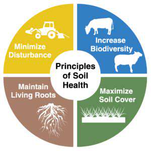 MinimizingChemicalUseandPromotingSoilHealth